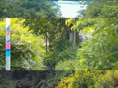 -白鹭湾湿地公园