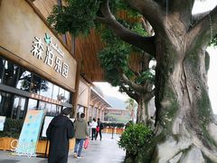 -杭州开元森泊度假乐园