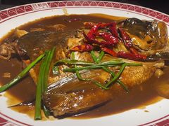 -旺顺阁鱼头泡饼(常营店)