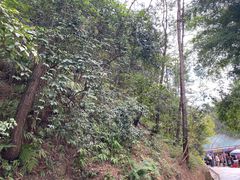 -梭布垭石林景区