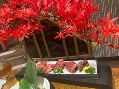 -赤坂亭M9和牛烧肉(世博源店)
