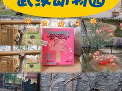 -武汉动物园