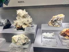-湖南省地质博物馆