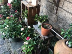 -石头会唱歌融来+北港岚台两岸交流中心