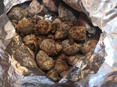 盐焗海螺-老姑砂锅·烧烤天津菜(体北道店)
