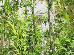 -南山风景名胜区