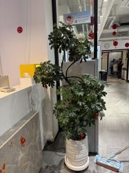 -LJOY丽锦造型·烫发染发