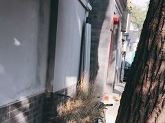 -锅儿挑面馆