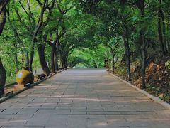 -青檀寺景区