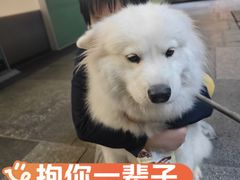 -瑞虹新天地月亮湾