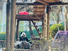 -大连森林动物园