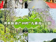 -广州市流溪河国家森林公园