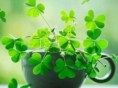 -兰剑驾校(汉阳校区)