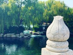 -百脉泉景区
