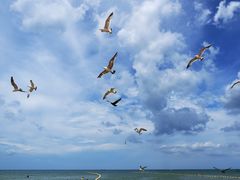 -那香海钻石沙滩浴场