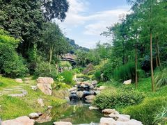 -云溪植物园