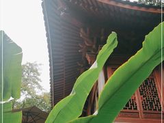 -韬光茶庵
