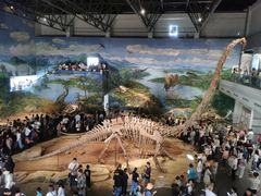 -自贡恐龙博物馆