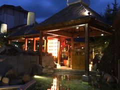 -汉拿山温泉度假酒店