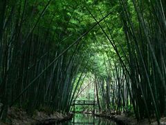 -同里国家湿地公园