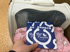 -宠颐生中康贝怡动物医院