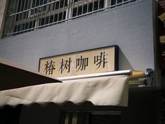 -椿树咖啡