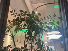 -gaga(深圳南山益田假日广场店)