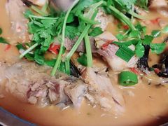 -全乐鱼馆·淳牌有机鱼直营店