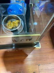-广东黄金公司黄金回收金银条销售(东风东路店)
