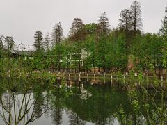 -常德桃花源景区