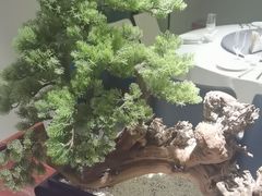 -顺峰(农展馆店)