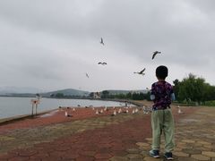 -黑石礁公园