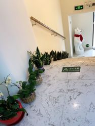 -海涛医疗美容·面部抗衰·注射美鼻