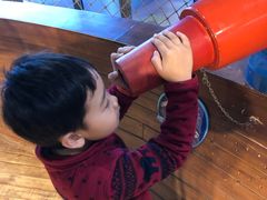 -中国宋庆龄青少年科技文化交流中心