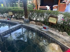 -明月山天沐温泉度假村