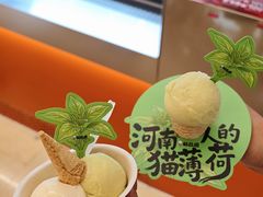 -极拉图·现制冰淇淋(大卫城店)