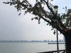 -岁粤Moon·湖景餐厅(月光码头店)