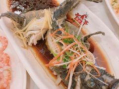 -琼大师东方烤乳猪(亚特兰蒂斯店)