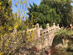 -上海醉白池公园