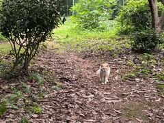 -雨花胜境