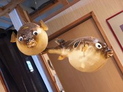 -玄品河豚(那覇國際通里之関)