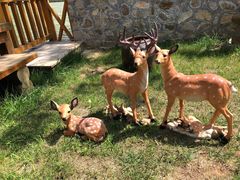 -九如山休闲旅游度假区