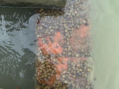 -洪泽湖古堰景区