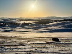 -塞罕坝国家级自然保护区