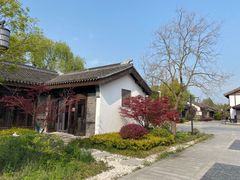-同里国家湿地公园