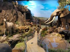 -陕西自然博物馆