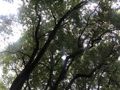 -西郊宾馆·1921餐厅