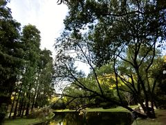 -上海共青森林公园