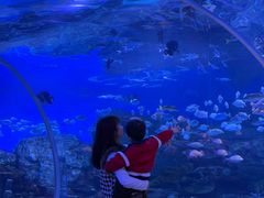 -顺德南宏海立方海洋公园