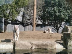 -常州淹城野生动物世界